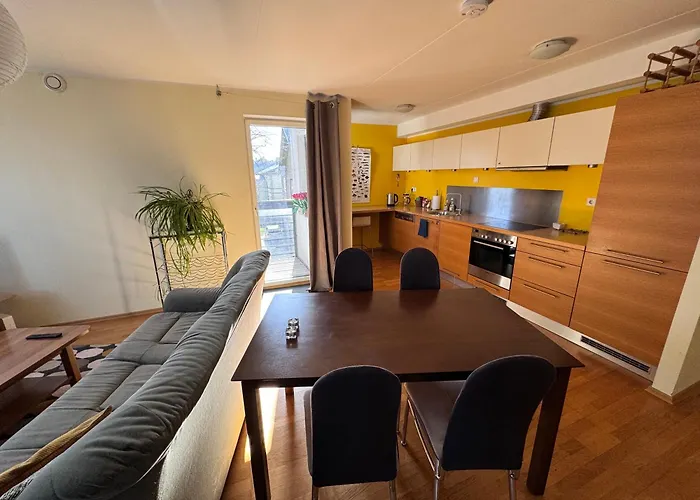 Lovely & Spacious With Sauna Apartament Tallin